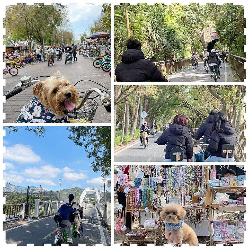 閒情驛棧 台中寵物友善民宿 石岡住宿推薦　近東豐綠廊與熱門景點