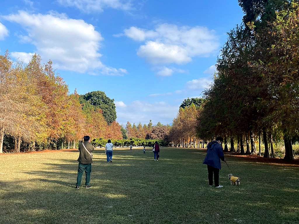 閒情驛棧 台中寵物友善民宿 台中石岡推薦年度活動